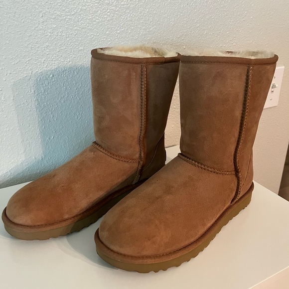 Classic Chestnut UGGS - Picture 1 of 5
